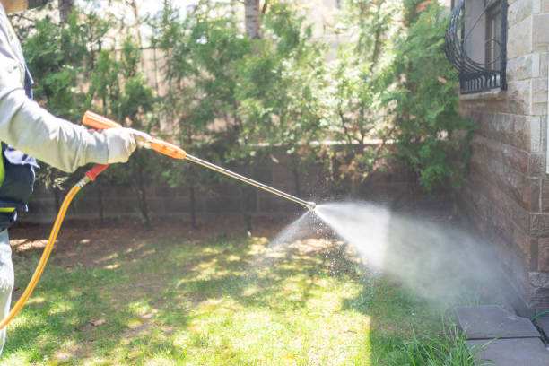 Professional Pest Control in Sevierville, TN