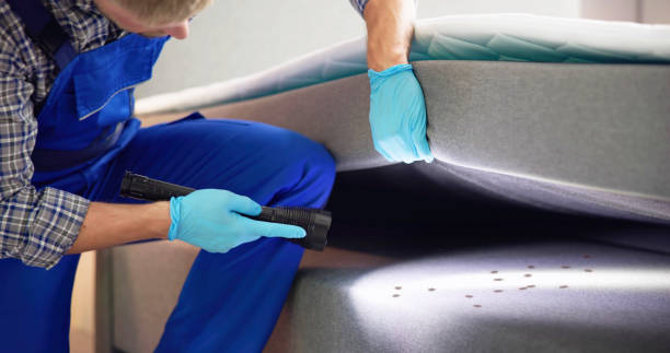 Best Affordable Pest Control Services  in Sevierville, TN