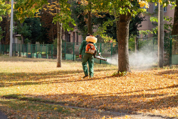 Best Wasp Removal Services  in Sevierville, TN