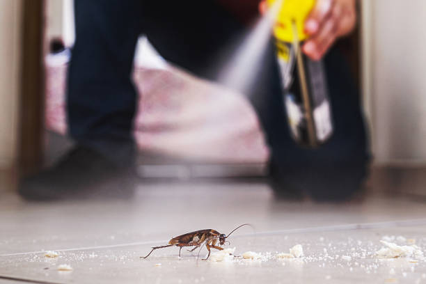 Wildlife Control Services in Sevierville, TN
