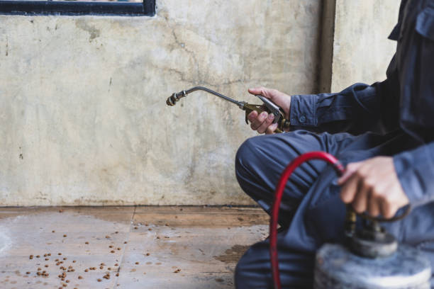 Best Commercial Pest Control Services  in Sevierville, TN