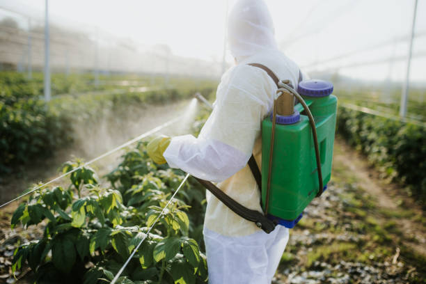Best Mosquito Control Services  in Sevierville, TN